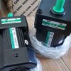 成鋼步進電機達21K6GN-C廠家供貨